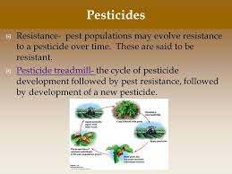 Pest resurgence is defined as the rapid reappearance of a pest population in injurious numbers. Chapter 11 Feeding The World Ppt Download