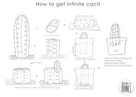 Image result for cactus cuttings