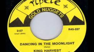 Image result for Harvest Gold Light 1972 Tappan