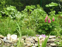 Gärten bieten erholung im grünen, fernab vom lärm der großstadt. Biotope Anlegen Summende Garten