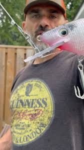 Sampson Baitworks (@sampsonbaitworks) • Instagram photos and videos