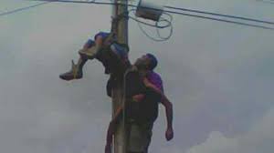 Image result for tukang listrik