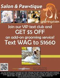 We gladly welcome all breeds, all sizes and also offer cat grooming. Groomingdales Pet Salon Pietermaritzburg The Y Guide