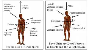 We did not find results for: Advanced Glute Training T Nation