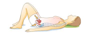 Image result for Pelvic Floor Dysfunction