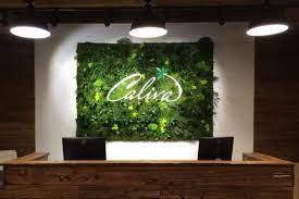 Services Office Wall Design Moss Wall Living Wall