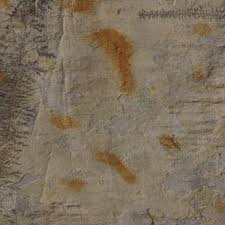 Home Remedy For Removing Rust Stains From Cement Hunker Remove Rust Stains Remove Rust From Concrete How To Clean Rust