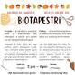 Help us Create the BioTapestry event image
