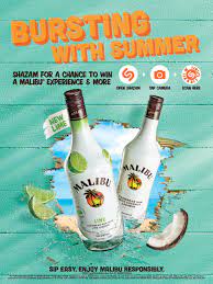 Find & book the best malibu food & drink tours, tastings, classes and more on tripadvisor. Malibu Lime Serg