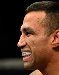 Fabricio Werdum