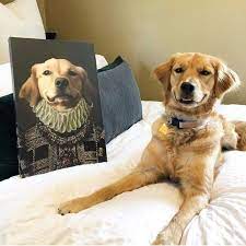 It's easy with diy pet portrait fun kit. This Company Can Turn A Pet Into A Royal Portrait And Here Are 30 Of The Best Ones Bored Panda