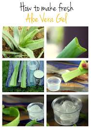 Summer Special Make Your Own Aloe Vera Gel Style Inked Fresh Aloe Vera Gel Natural Skin Care Ingredients Fresh Aloe Vera