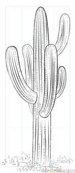 How To Draw A Saguaro Cactus Step By Step Drawing Tutorials For Kids And Beginners Cactus Drawing Cactus Flower Painting Simple Flower Drawing