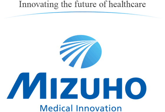 Mizuho Corporation