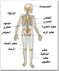 Pin On موقع مدرستي