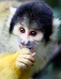 News of the world in photos: Police fatally shoot eight-grader and more