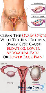 Pin On Health Beauty