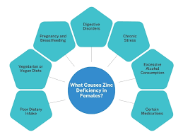 Image result for Zinc Deficiency