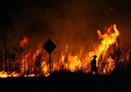 Hay miles hectáreas afectadas y cientos de. El Pais Digital Cordoba Azotada Por Los Incendios Forestales