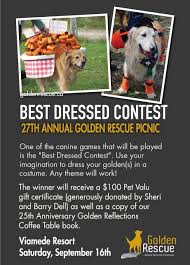 Our Best Dressed Contest Will Be Featured Again This Year At Our Annual Picnic Use Your Imagination And Dress Up Your Golden Picnic Golden Events Game Dresses