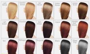 Mens Hair Color Chart
