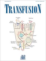 A multicenter, randomized, active‐controlled study to investigate the  efficacy and safety of intravenous ferric carboxymaltose in patients with  iron deficiency anemia