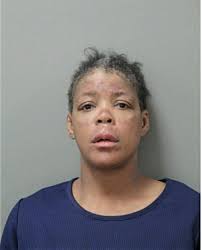 ᐅ Illinois Criminal Records 2009-2026