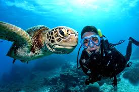 نتیجه جستجوی لغت [biologist] در گوگل