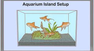 Sep 24, 2020 · yes, you can put fish tank decorations in the dishwasher. 11 Ways To Decorate A Fish Tank Wikihow
