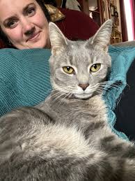 Can't find a working phone number for the ballpark?