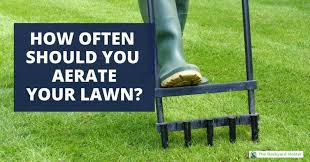 Try not to dethatch more often than you have to. How Often Should You Aerate Your Lawn The Surprising Answer The Backyard Master