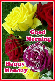 Good morning monday flowers images and messages. 236 Good Morning Monday Images Photos Pics Wallpapers Wishes Good Morning