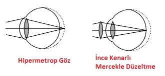 Kağıt ve diğer maket örnekleri, kağıt işleri anlatımları ve videoları ilginizi çeker mi? 6 Sinif Duyu Organlari Konu Anlatimi Fenbilim Net
