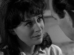 THE FUGITIVE "IN A PLAIN PAPER WRAPPER" DAVID JANS...