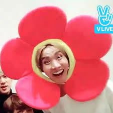 Pin By Yosia On H O B I E Happy 26th Birthday Bts Meme Faces