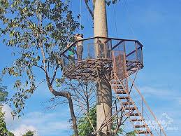 Panorama is a malaysian semi documentary television program that is broadcast on tv1. Tabin Tabin Wildlife Observation Nature Amazing Borneo Tours