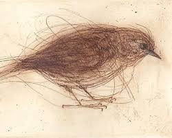 Preppy Parisienne Bird Art Animal Art Bird Drawings