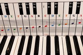 Find the a piano key in the quiz below. Amazon Com Piano And Keyboard Note Chart Use Behind The Keys Ideal Visual Tool For Beginners Learning Piano Or Keyboard Easy To Set Up For Any Medium To Full Size Piano Or Keyboard