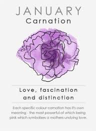 Birth Flowers For Each Month Your Birth Flower Says More About You Than You Realize Birth Flower Tattoos Carnation Flower Tattoo Birth Flowers