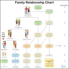 family relationship chart famlii famlii