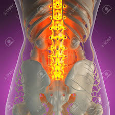 Of all 24 ribs, the first seven pairs are often labeled as 'true.' these bones are. Science Anatomy Of Human Body In X Ray With Glow Back Bones Stock Photo Picture And Royalty Free Image Image 63282848