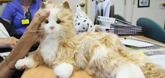 The Calming Effects Robotic Therapy Pets Have On Dementia Patients