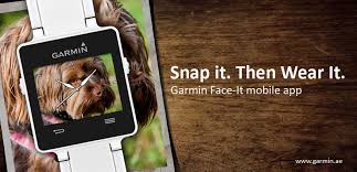 Face It Face Mobile App Download App