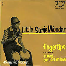 Image result for tbn:OBGKwr0kr-2hGM::www.tradebit.de/usr/backingtracks4u/pub/9002/stevie-wonderPic.jpg