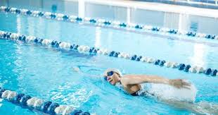 Les Lignes De Nage En Piscine Municipale Guide Piscine Fr