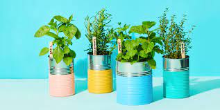 When you're growing indoors, go for herbs that look tidy in a kitchen window and won't hog too much space. 10 Herbs To Grow Inside Year Round Indoor Herb Garden Ideas