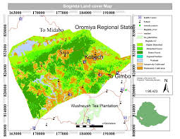 Image result for Poecilostachys oplismenoides