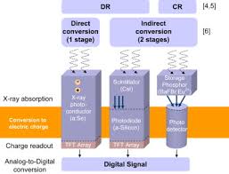 This way, the radiographic examination helps the dentist. Digital Radiography Detectors A Technical Overview Part 1 Sciencedirect