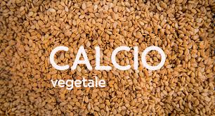 Ecco i dieci alimenti più ricchi di ferro da inserire nella tua dieta. Alimenti Vegetali Ricchi Di Calcio La Guida Completa Vegolosi It