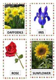 10 flowers name in english. Flowers Part 1 Esl Worksheet By Subbalakshmi